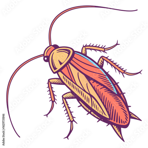 Illustration of a cockroach isolated on white background