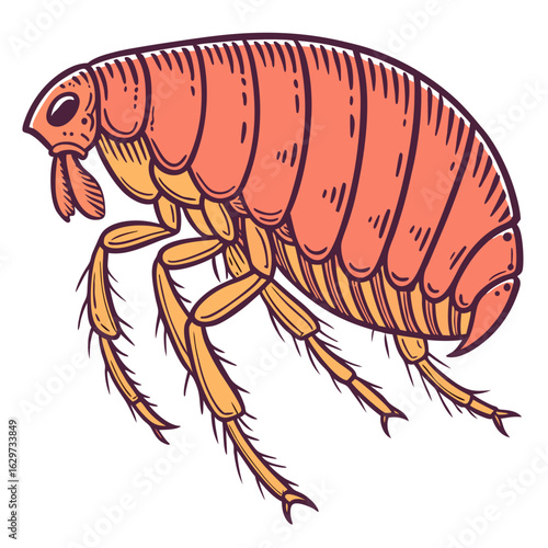 Illustration of a flea isolated on a white background