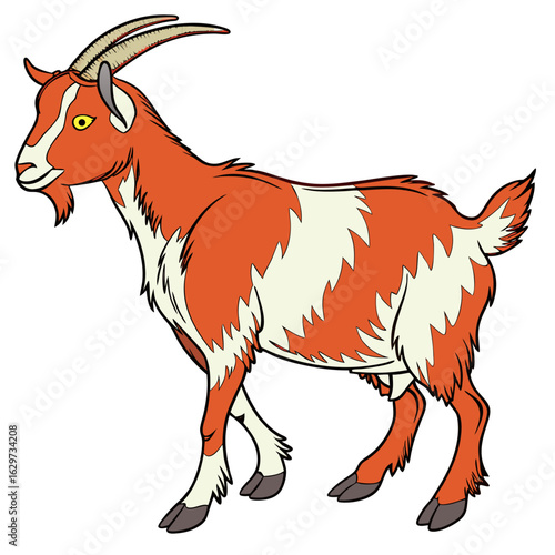Illustration of a standing orange and white goat with horns isolated on white background