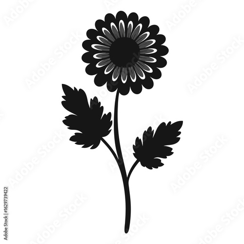  feverfew flower silhouette vector  on white-background