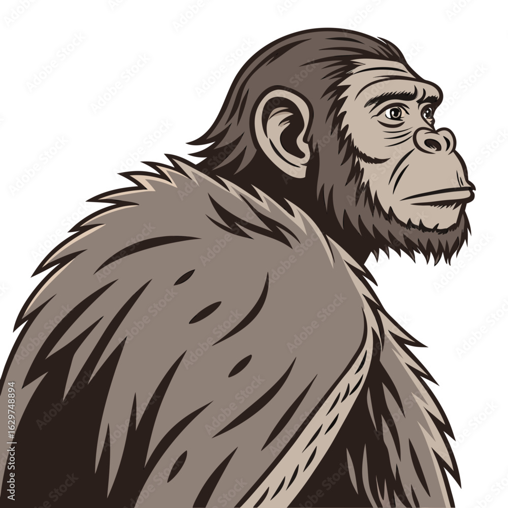 Fototapeta premium Illustration of a chimpanzee isolated on white background