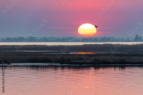 Idyllische Boddenlandschaft mit tiefstehender Sonne im Frühjahr.