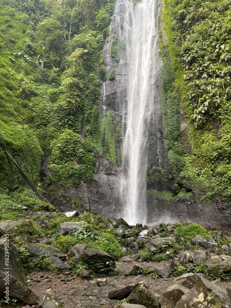 Fototapeta premium waterfall in the forest
