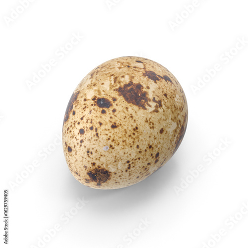 Speckled Quail Egg Isolated on Transparent Background
