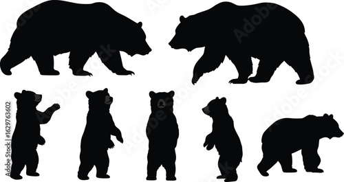 Black bear silhouette set showing various poses including walking, standing