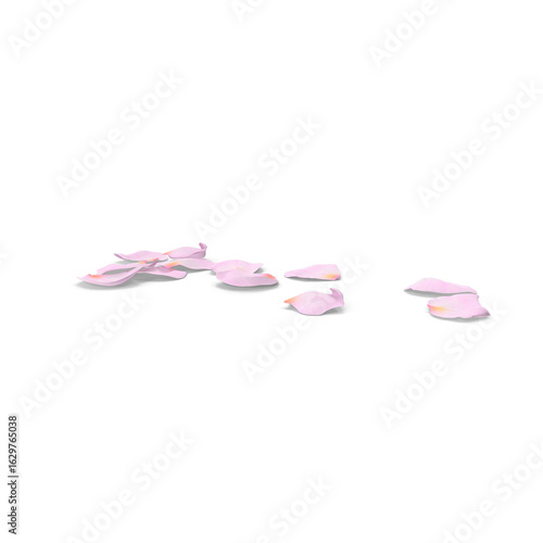 Realistic Rose Petals isolated on transparent background