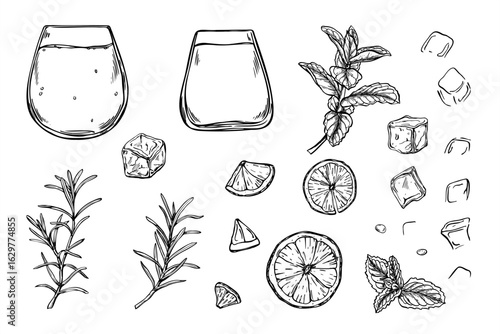 Ingredients for citrus mint beverage monochrome vector illustration clip art. Glasses, ice cubes, lemon slices, mint and rosemary sprigs etching drawing. For bar menus, summer party invitation.