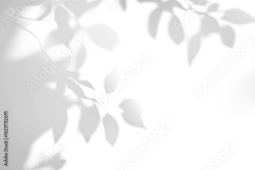shadow overlay effect of natural tree leaves shadow over on white wall background,realistic summer sunlight abstract shadow overlay