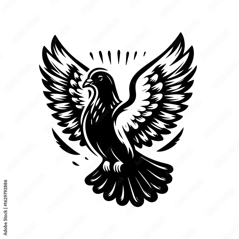 Fototapeta premium Dove isolated on white background with outstretched wings