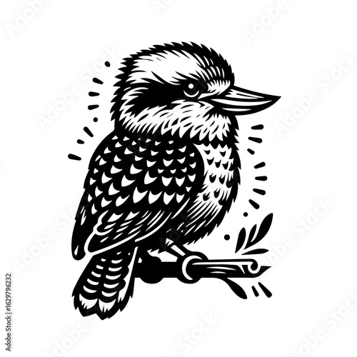 Kookaburra bird illustration isolated on white background