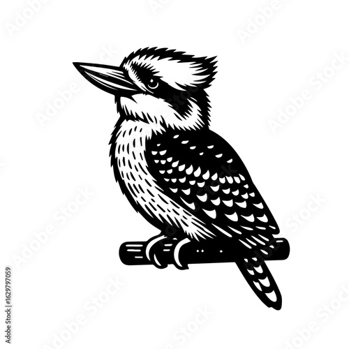 Kookaburra bird illustration isolated on white background