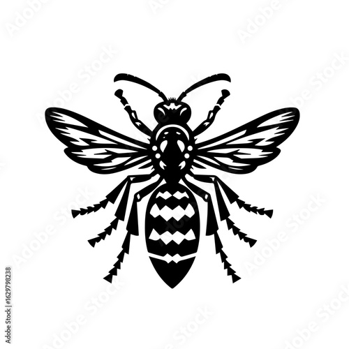 Wasp isolated on white background