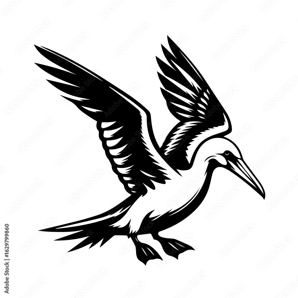 Obraz premium Black and white illustration of a flying seabird