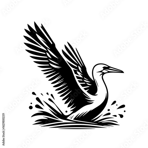 Bird taking flight from water with wings spread