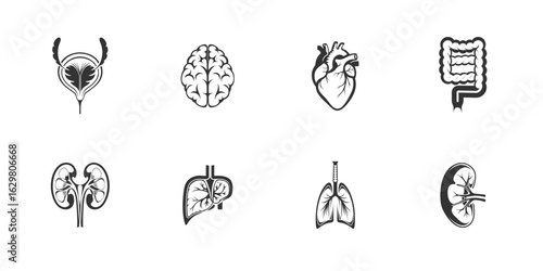 Human internal organ icon set in black medical illustration style for anatomy, healthcare, and biology concepts

