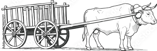 Traditional bullock cart illustration with ox, vintage wooden wagon vector drawing