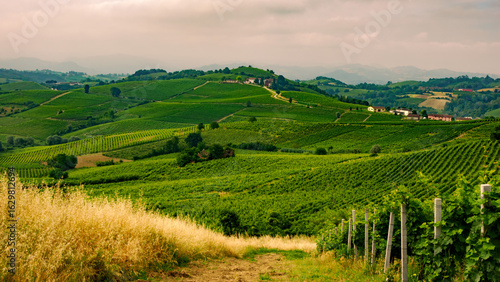 Quadro su tela Vineyards in Monferrato near Alice Bel Colle, Asti province, Italy