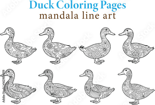 Intricate duck coloring pages featuring mandala line art illustrations for creative relaxation and adult coloring books