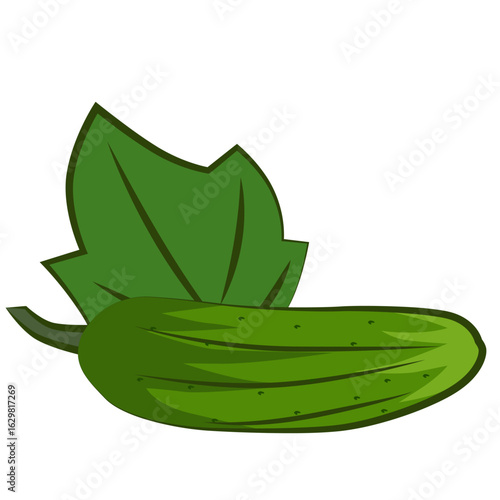 Drawing of a cucumber with a leaf. Healthy eating. Bright cartoon style drawing of a cucumber. EPS 10.