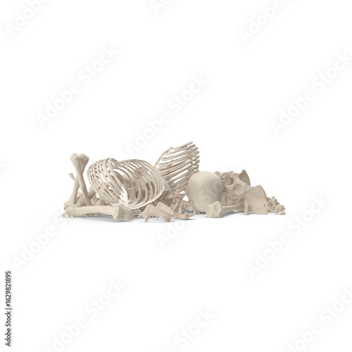 Animal Skeleton Bones Pile Isolated on Transparent Background