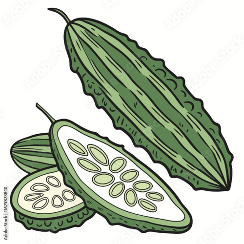 vector illustration of a cucumber