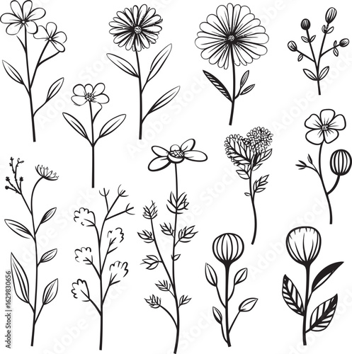 Soft Pellet Wildflower Vector Black Logo Icon with Simple Organic Details Soft Pellet Wildflower Vector Black Logo Icon with Refined Curved Lines