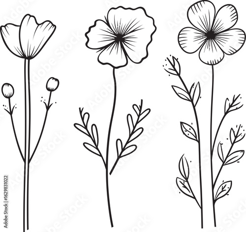 Soft Pellet Wildflower Vector Black Logo Icon with Light Hand Drawn Flair Soft Pellet Wildflower Vector Black Logo Icon with Flowing Plant Motifs