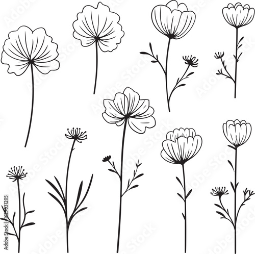 Soft Pellet Wildflower Vector Black Logo Icon with Smooth Leafy Curves Soft Pellet Wildflower Vector Black Logo Icon with Clean Natural Lines