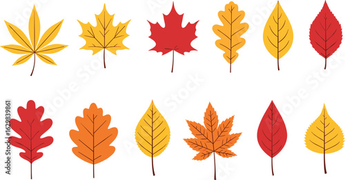 Adobe Illustrator Artwork