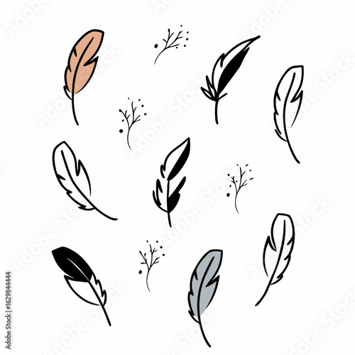 Feathers of Various Sizes and Shapes – Decorative Bird Plumes Collection Isolated on White