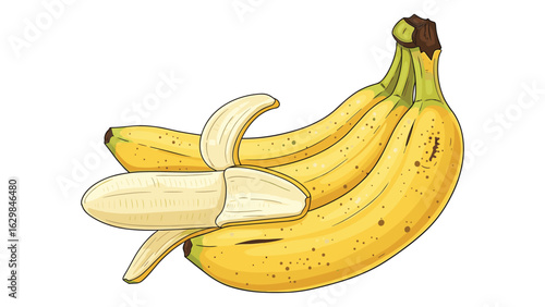 Illustration of Ripe Yellow Bananas with One Peeled Isolated on White Background for Creative