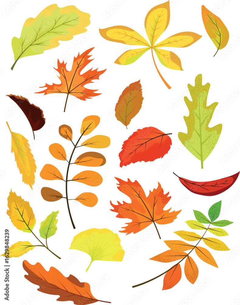 Fototapeta premium Autumn leaves.eps