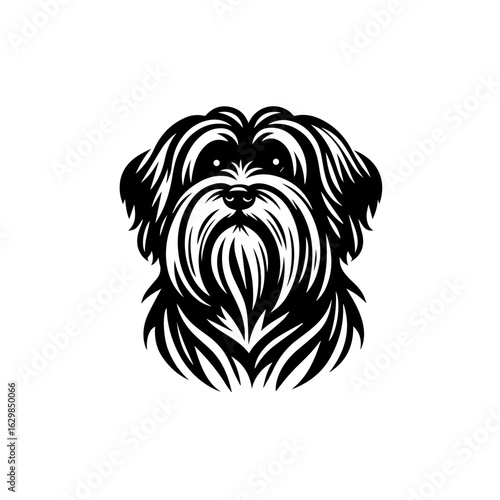 Fluffy dog portrait, isolated on white background