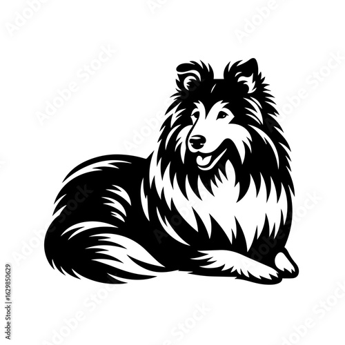 Black and white illustration of a sheltie dog lying down isolated on white background