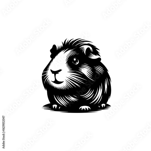 Cute guinea pig illustration isolated on white background