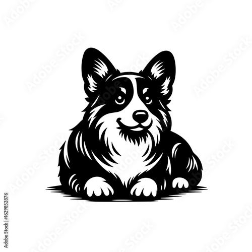 Cute pembroke welsh corgi dog isolated on white background