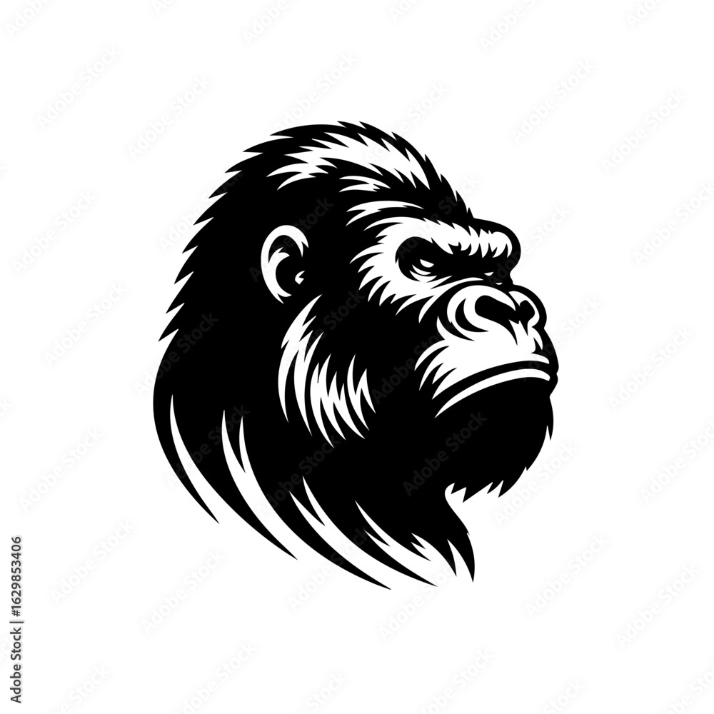 Fototapeta premium Gorilla head portrait illustration isolated on white background
