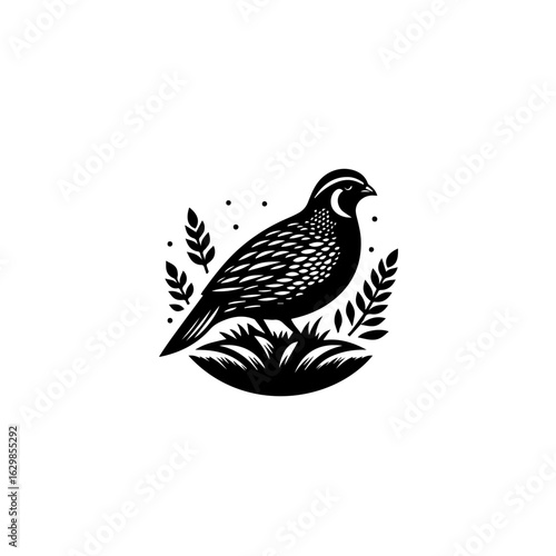 Black and white illustration of a quail bird standing on grass isolated on white background