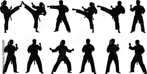 Martial arts silhouettes of men and women practicing karate, kicking, punching, fighting poses, black belt training, combat sport illustration