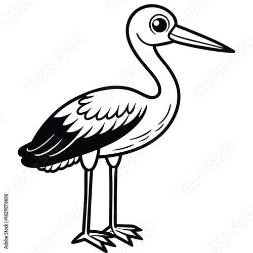 Wading bird with long beak isolated on white background