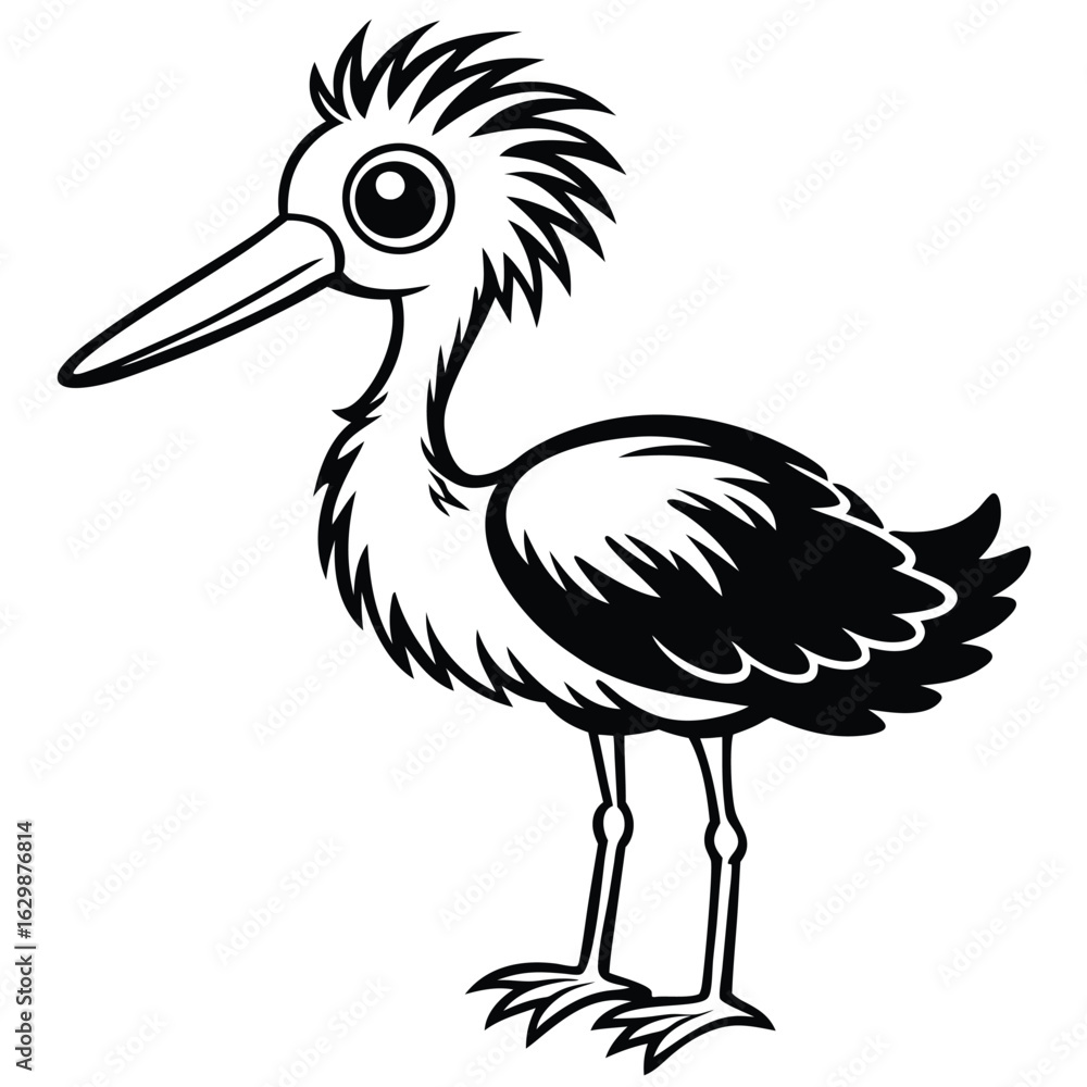 Fototapeta premium Wading bird with long beak isolated on white background