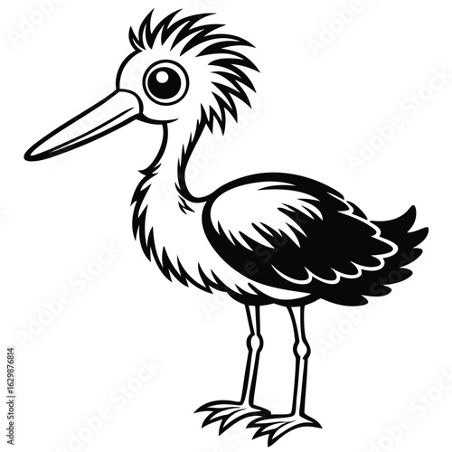 Wading bird with long beak isolated on white background