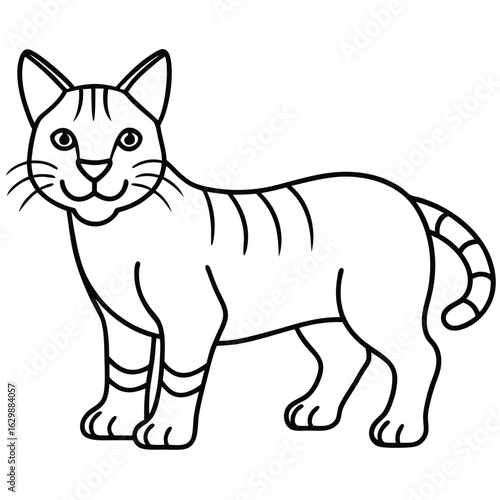 Striped cat isolated on white background, cartoon style illustration