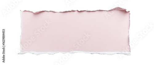 Pink torn paper rectangle