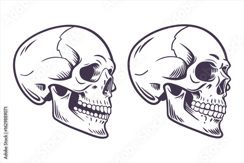 Collection of hand-drawn angry skull illustrations. Black and white scary human head symbol for Halloween or gothic design.