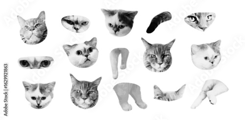 Cat elements for сollage with halftone art. Paws, tail, cat heads, ears. Vector illustration on transparent background.