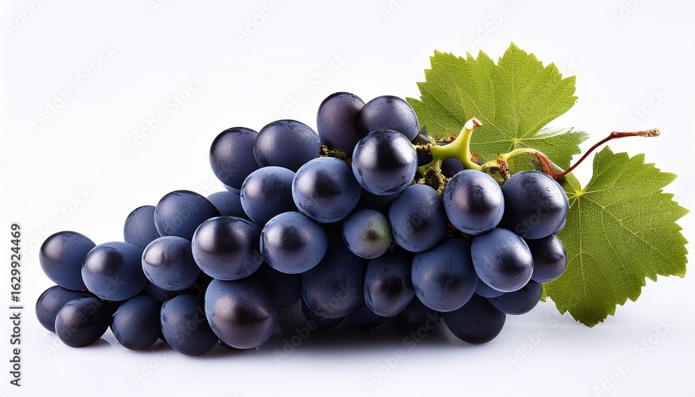 Fototapeta premium black grapes isolated on white background