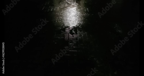Rainy Pavement at Night