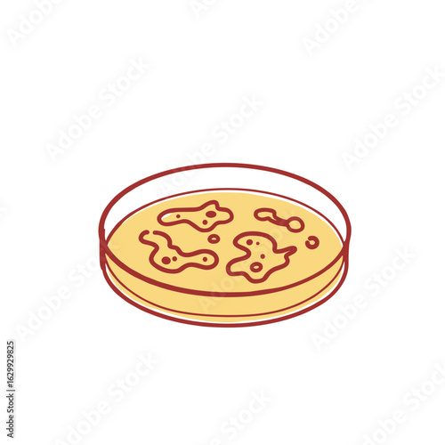 Petri dish with bacterial culture in liquid medium  