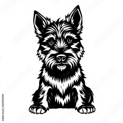 Bolognese Terrier Animal Icon